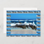 Seagull on Beach Rocks Postkarte (Vorne/Hinten)