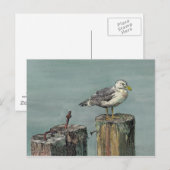 SEAGULL on PILING by SHARON SHARPE Postkarte (Vorne/Hinten)