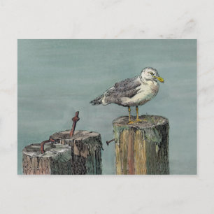 SEAGULL on PILING by SHARON SHARPE Postkarte
