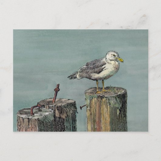 SEAGULL on PILING by SHARON SHARPE Postkarte (Vorderseite)