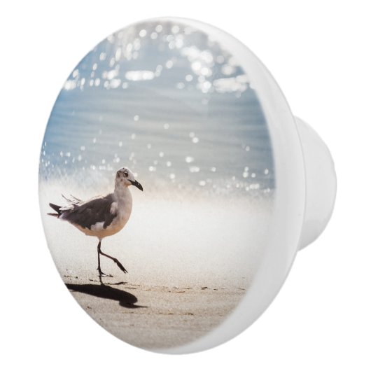 Seagull on Virginia Beach Keramikknauf (Rechts)