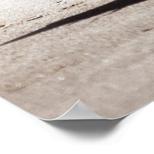 Seagull on Virginia Beach Poster (Ecke)