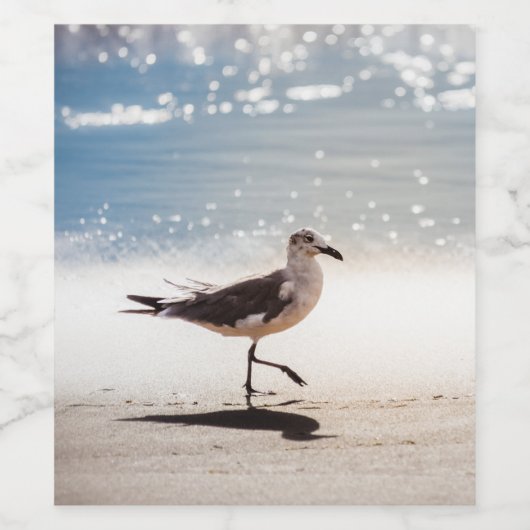 Seagull on Virginia Beach Weinetikett (Einzelnes Label)