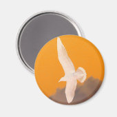 Seagull Orange Magnet (Vorderseite/Rückseite)
