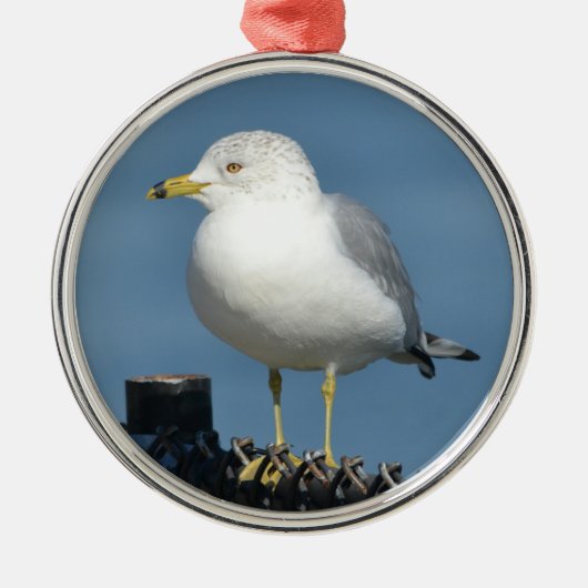 Seagull-Ornament Ornament Aus Metall (Vorne)