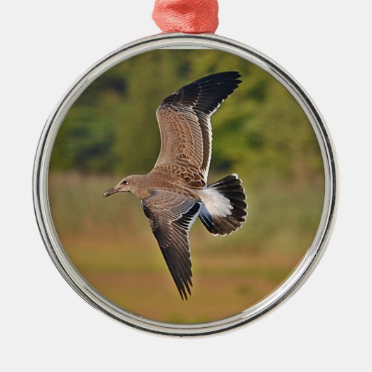 Seagull-Ornament Ornament Aus Metall (Vorne)