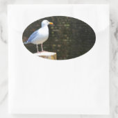 Seagull Ovaler Aufkleber (Tasche)
