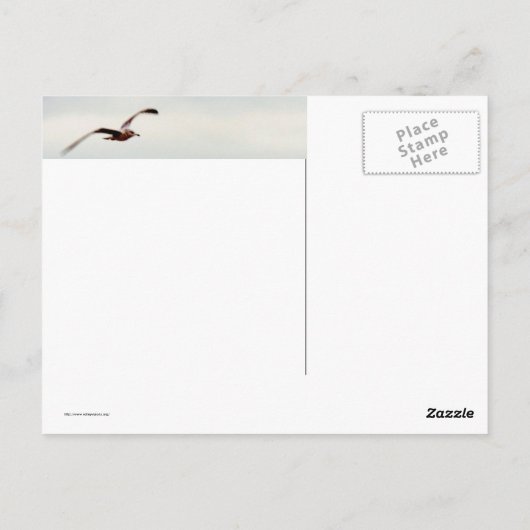 Seagull-Over-Waves Postkarte (Rückseite)