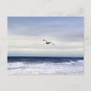 Seagull-Over-Waves Postkarte