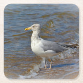 Seagull Party Untersetzer (Vorderseite)