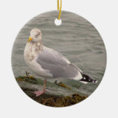 Seagull Photo Ornament  (Vorne)