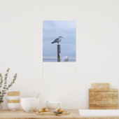 Seagull Photo Poster  (Küche)