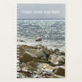 Seagull Planer (Vorderseite)