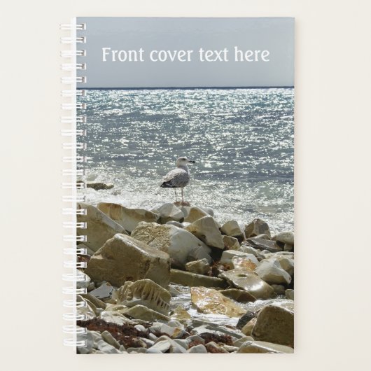 Seagull Planer (Vorderseite)