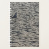 Seagull Planner Planer (Vorderseite)