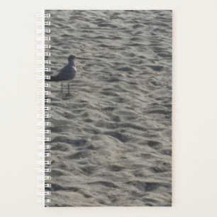 Seagull Planner Planer