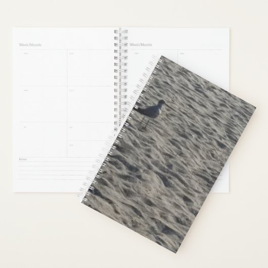 Seagull Planner Planer (Anzeige)