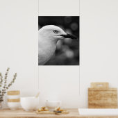 Seagull-Portrait Poster (Küche)