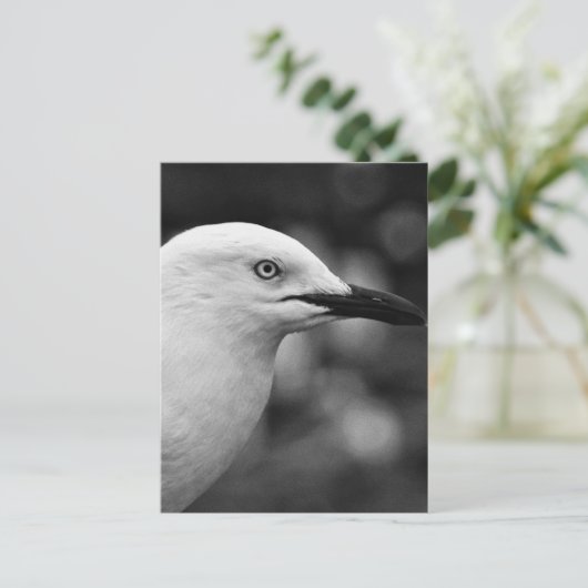 Seagull-Portrait Postkarte (Stehend Vorderseite)