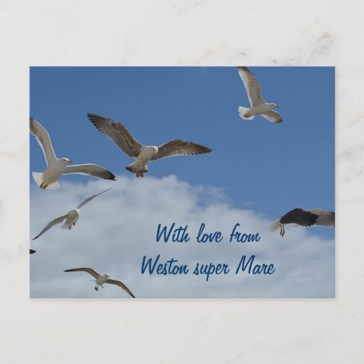 Seagull Postcard - aus Weston Super Mare Postkarte (Vorderseite)