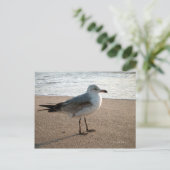 Seagull Postcard Postkarte (Stehend Vorderseite)