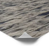 Seagull Poster (Ecke)