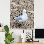 Seagull Poster (Heimbüro)