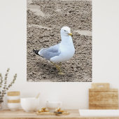 Seagull Poster (Küche)