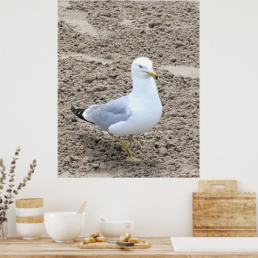 Seagull Poster (Küche)