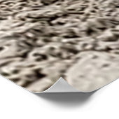 Seagull Poster (Ecke)