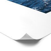 Seagull Poster (Ecke)