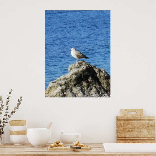 Seagull Poster (Küche)