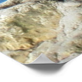 Seagull Poster (Ecke)