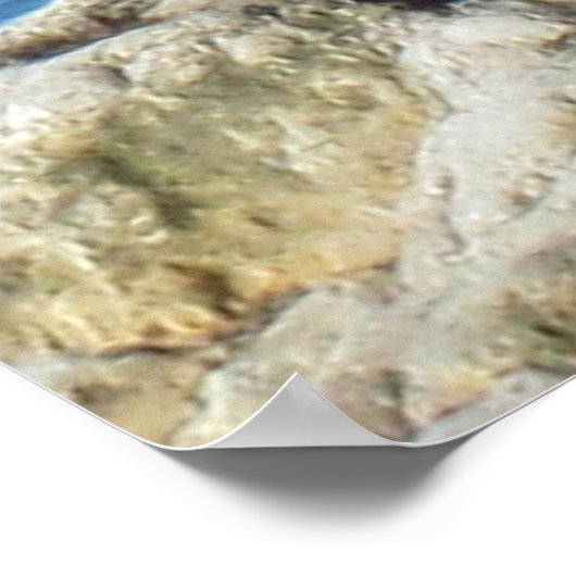 Seagull Poster (Ecke)