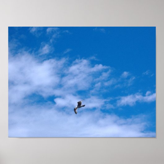 Seagull Poster (Vorne)