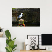 Seagull Poster (Heimbüro)