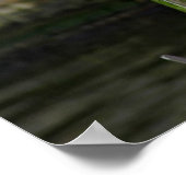 Seagull Poster (Ecke)
