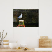 Seagull Poster (Küche)