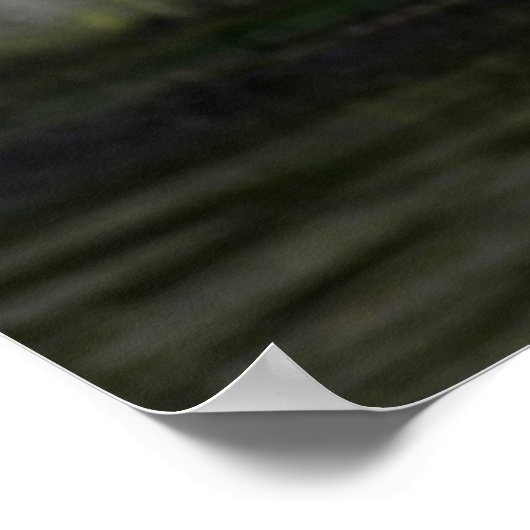 Seagull Poster (Ecke)