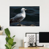 Seagull Poster (Heimbüro)
