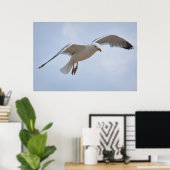 Seagull Poster (Heimbüro)