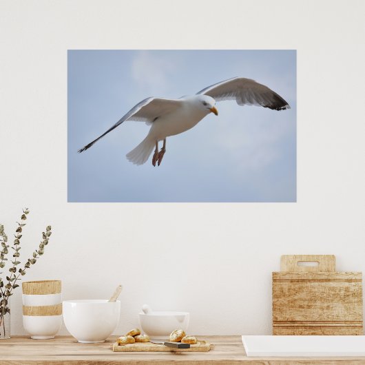 Seagull Poster (Küche)