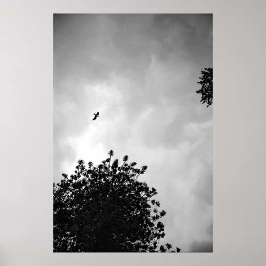 Seagull Poster (Vorne)