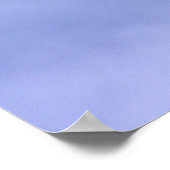 Seagull Poster (Ecke)