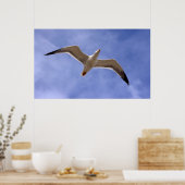 Seagull Poster (Küche)