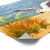 Seagull Poster (Ecke)