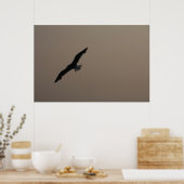 Seagull Poster (Küche)