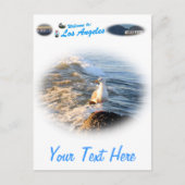 Seagull Postkarte (Vorderseite)