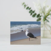 Seagull Postkarte (Stehend Vorderseite)