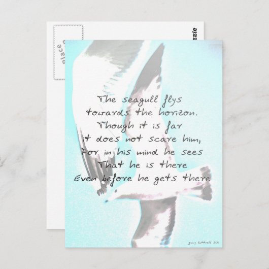 Seagull Postkarte (Vorne/Hinten)